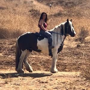 Meet your Posher, Kelly